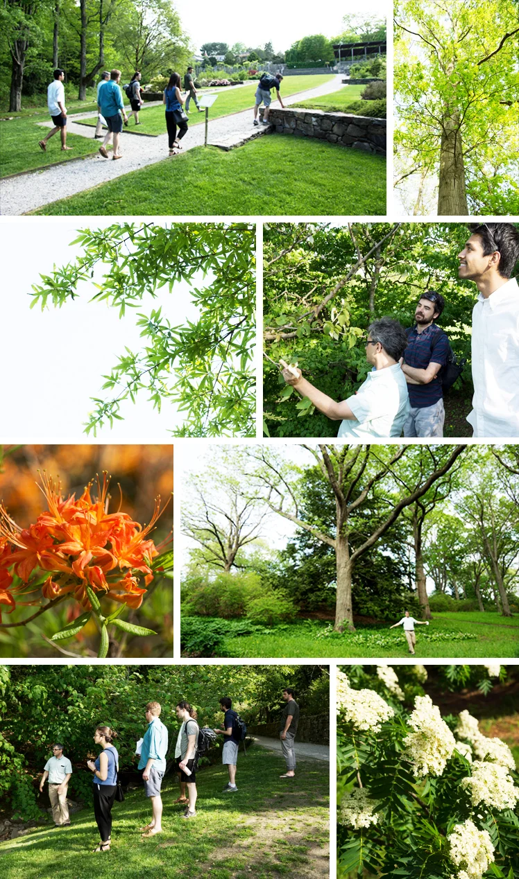 May Images - Arboretum.jpg