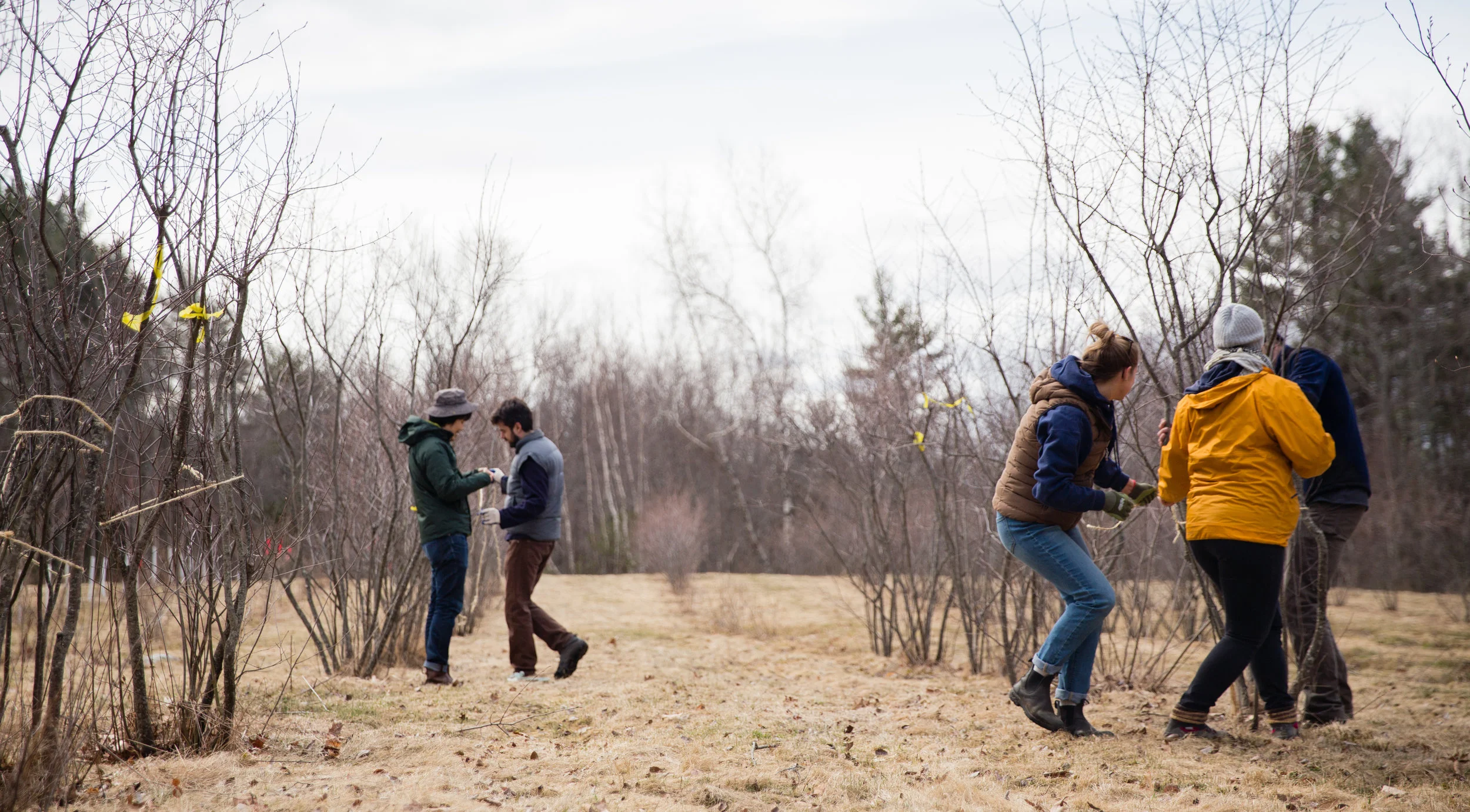 Spring Dig ND-7577.jpg