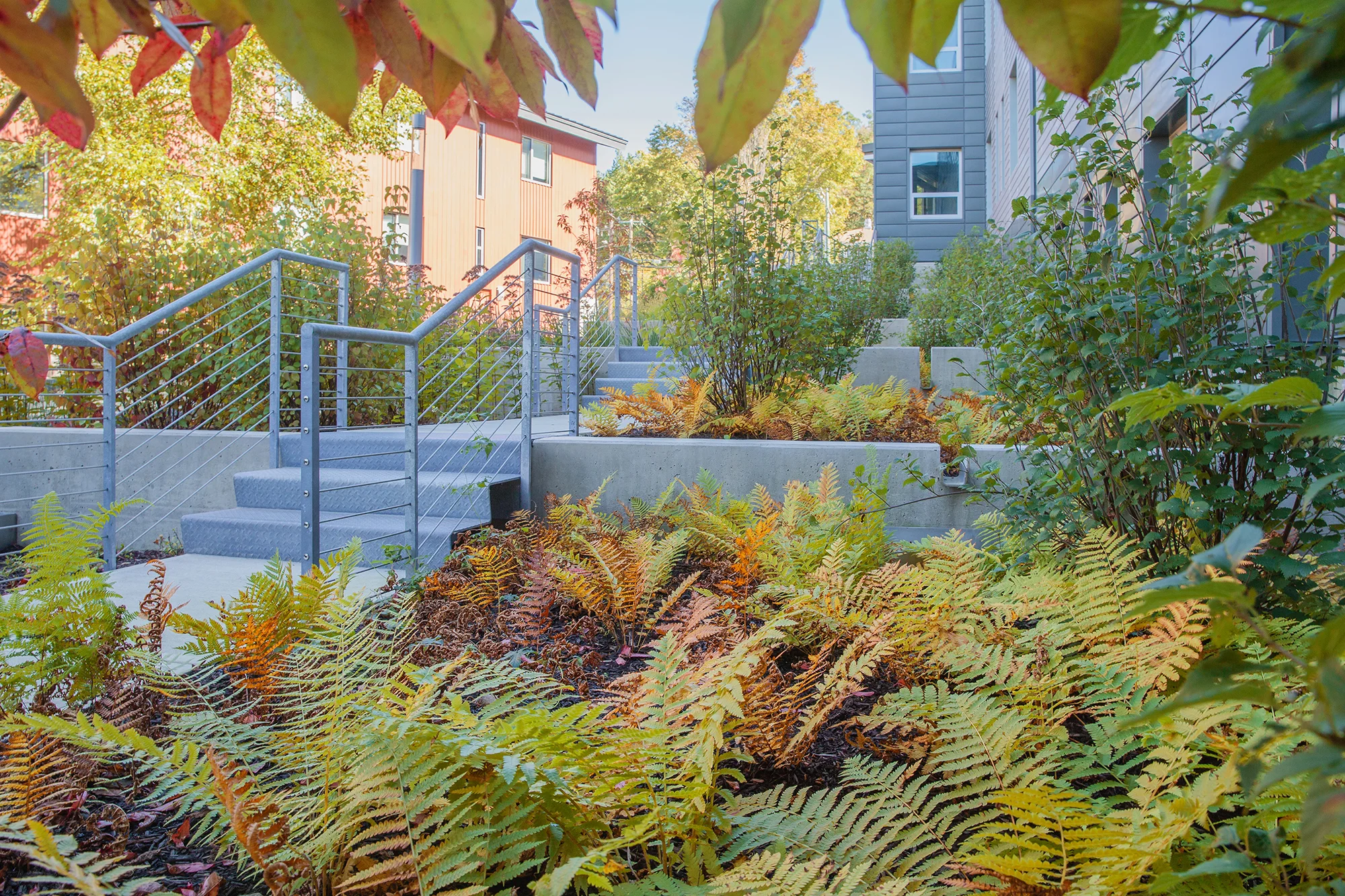 Crotty Hall is located at the western edge of the UMass campus, adjacent to a wetland that flanks a series of parking lots. The water from this wetland runs into Tan Brook and is then quickly culverted under the campus until it emerges into the iconic College Pond. Thus, the water from this site has a direct impact on the most visible and symbolic water body on campus. The landscape designed for Crotty Hall, the campus’s first Net-Zero building, cleans and infiltrates stormwater making it one of the greenest buildings on campus. The landscape had a number of constraining factors including a steep grade change, very little open space and a limited budget. Crotty Hall sets a new standard of sustainability for UMass. The project improves the health of the adjacent wetland and Campus Pond by capturing, filtering and infiltrating runoff from the roof. It also provides a valuable demonstration of the beauty and functionality of stormwater gardens, which are designed to work in concert with architecture to improve the environment. Recognition Boston Society of Landscape Architects | Merit Award 2018 AIA Western Massachusetts | 2018 Collaborators Miller Pollin Architecture Photography Ngoc Doan