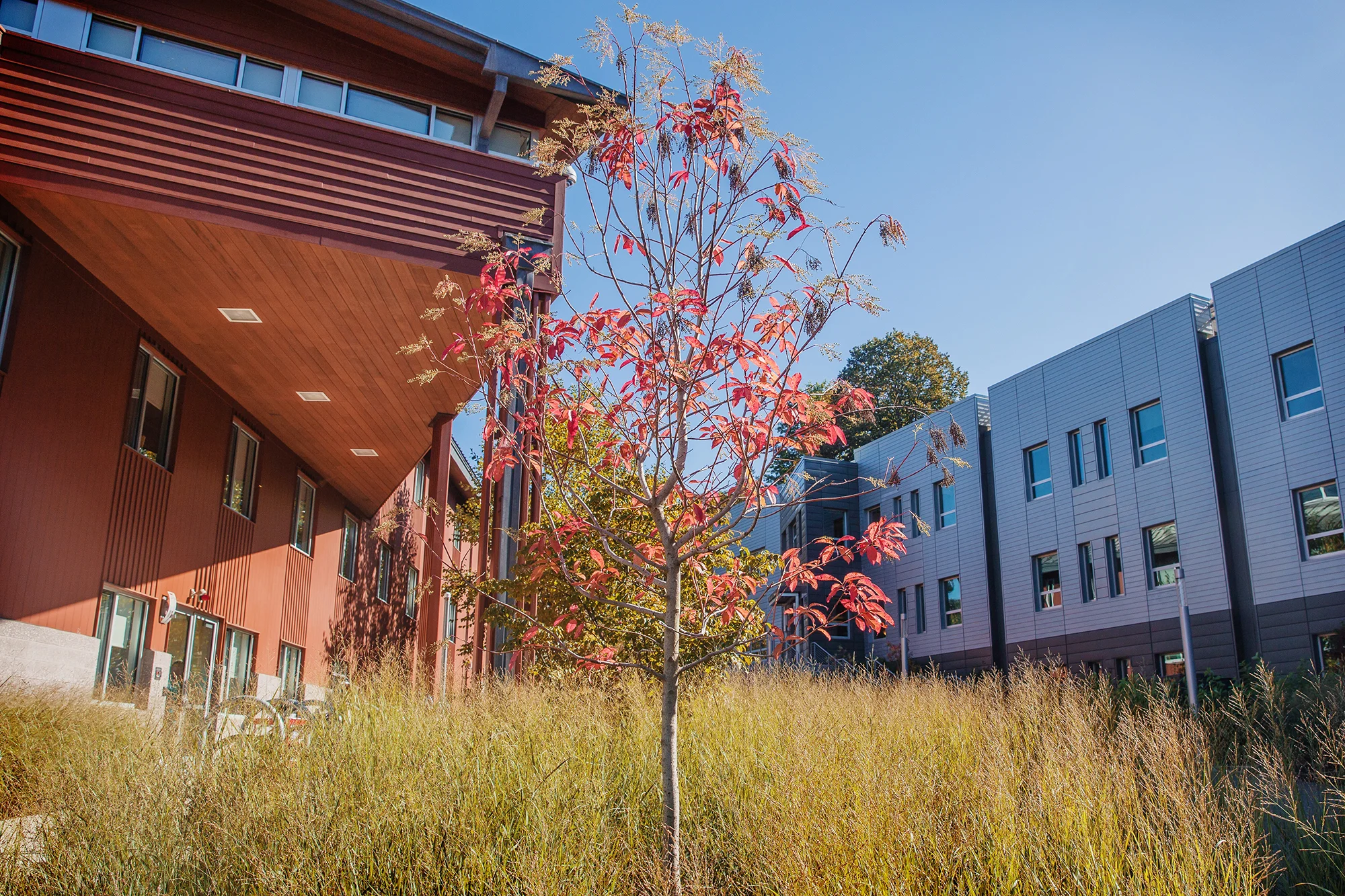UMASS Crotty Hall 11.jpg