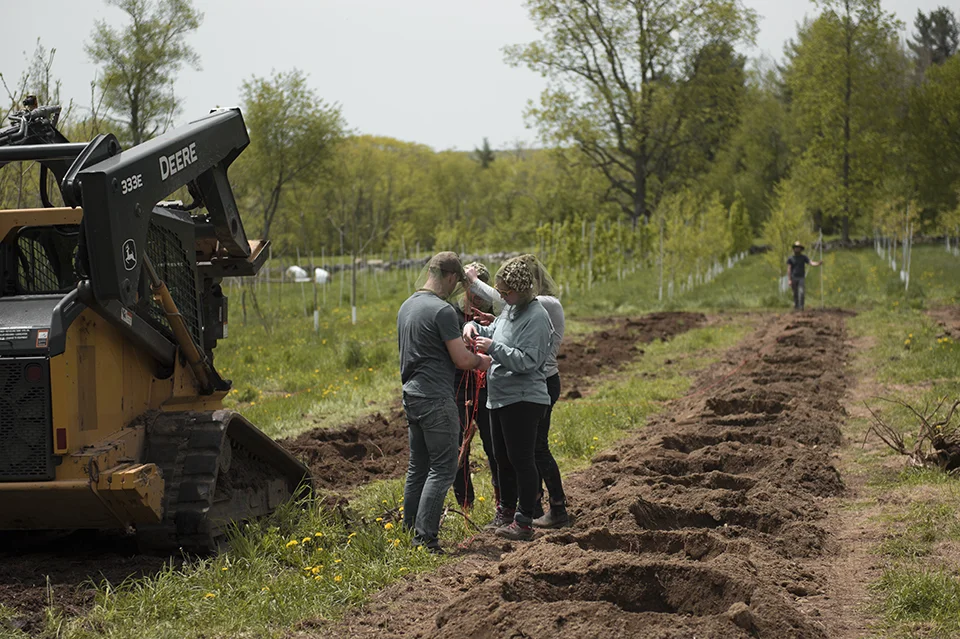 Spring Dig_2018_2.jpg