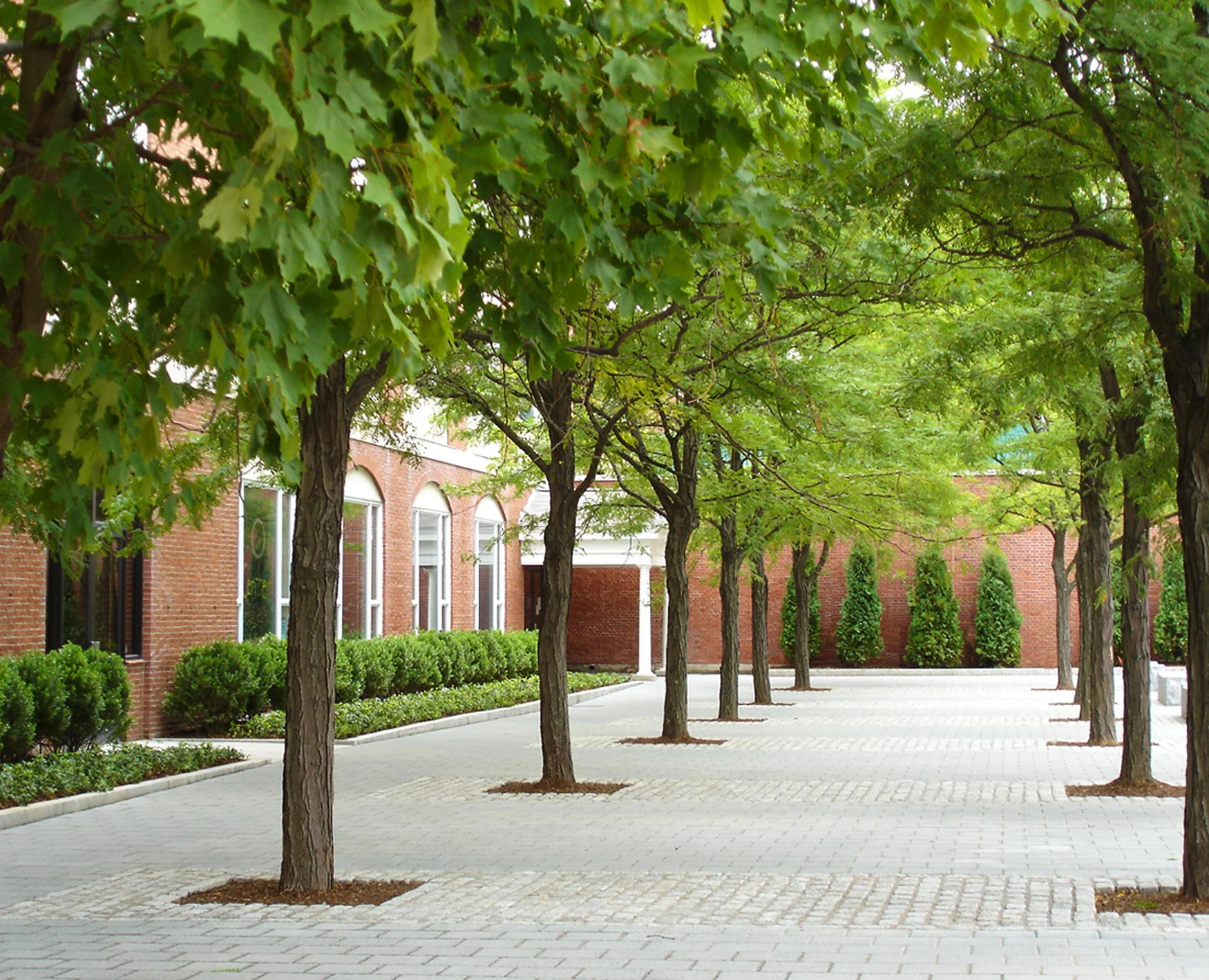 The existing quadrangle was dominated by architecture and lacked definition. The redesign introduces a grid of mature tulip poplar trees to create campus character and a pedestrian scale space. The entry plaza serves as a gateway to the university while a row of mature red oaks will define a permeable edge between the streetscape and quadrangle. Within the quad, pedestrian pathways link buildings and provide informal seating areas below the poplar grove. Generous linear granite benches provide seating and define circulation. The existing brick wall was reduced three feet in height and capped with granite and handrails. The existing honeylocust grove will be supplemented to complete the quad perimeter planting and provide additional yellow Fall foliage. Existing shad groves and perennial bulbs in groundcover provides a variety of Spring color. Recognition Boston Society of Landscape Architects | Merit Award 2008