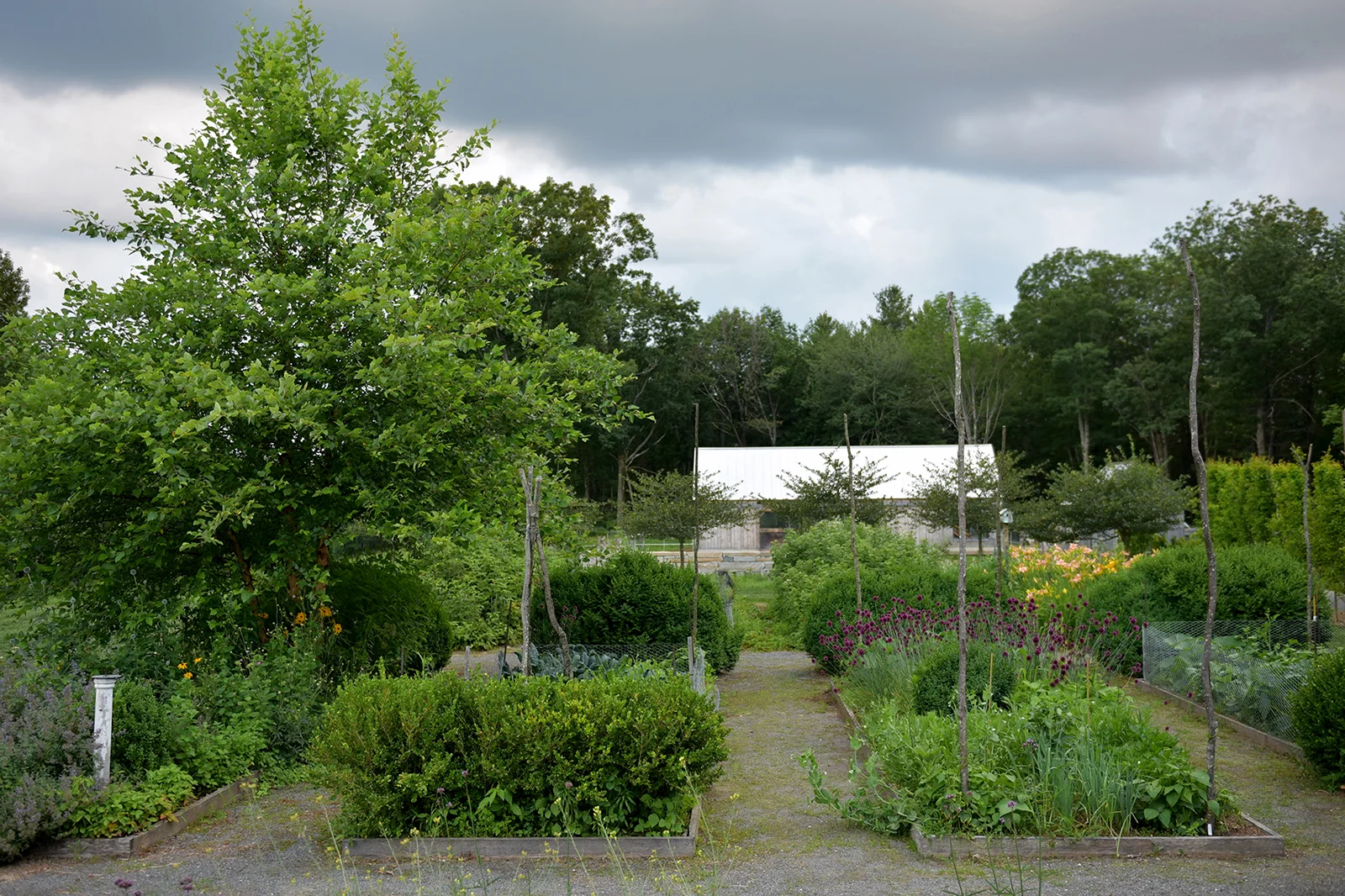 Garden_LTS.jpg