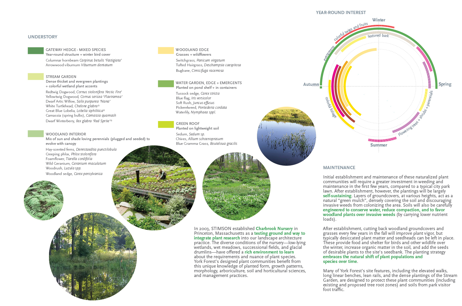 York Forest Booklet29b.jpg