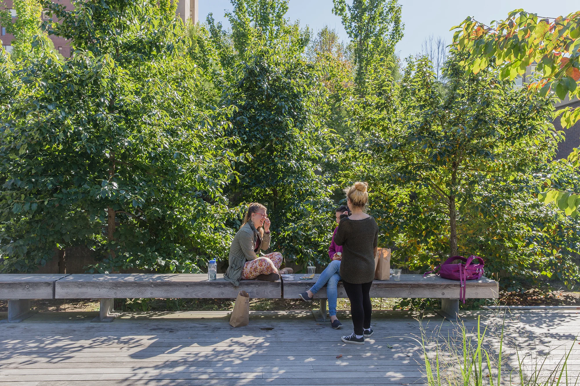 UMASS SW-1536.jpg