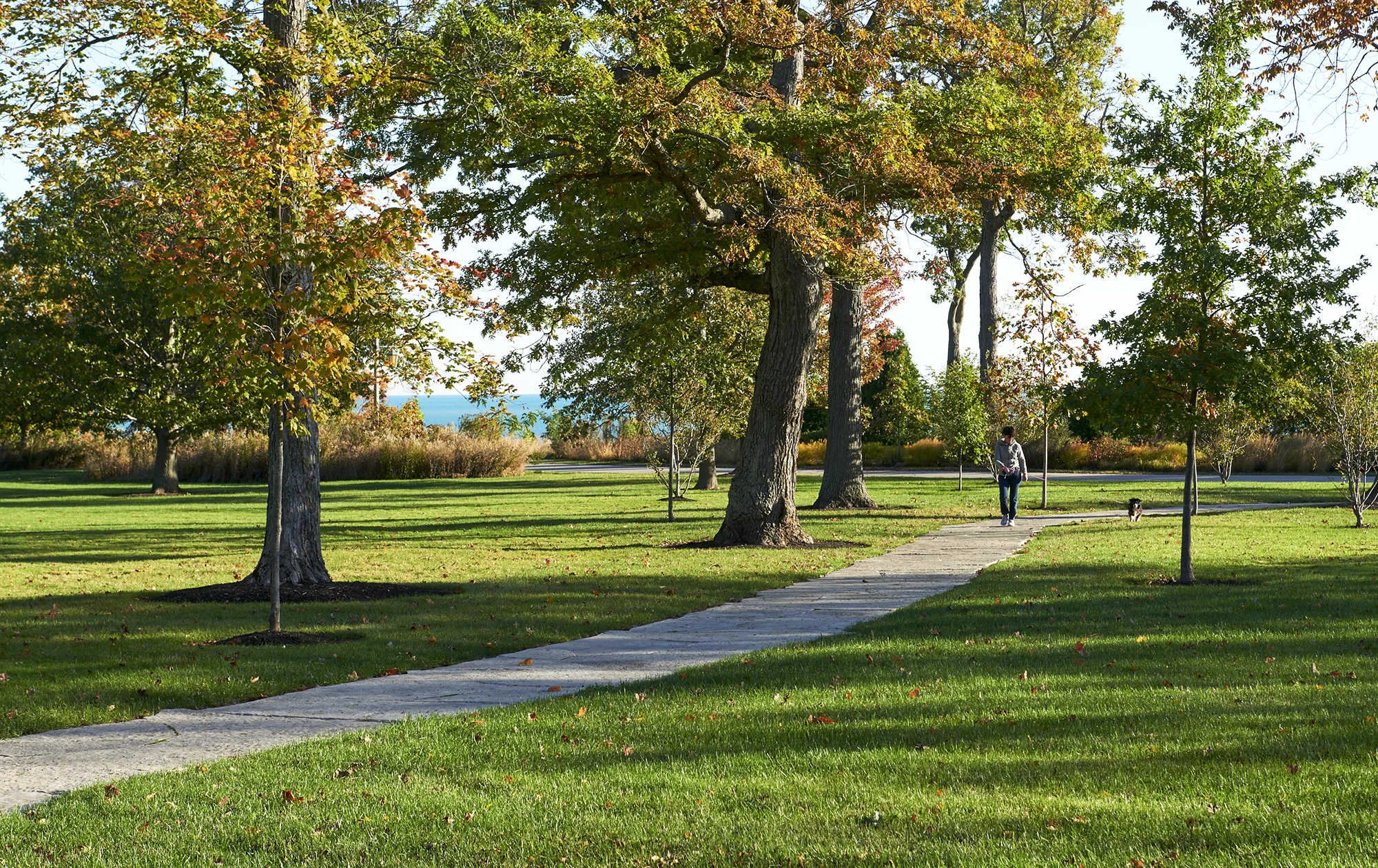 171012_SSA_OCSimmondsPark_3236.jpg