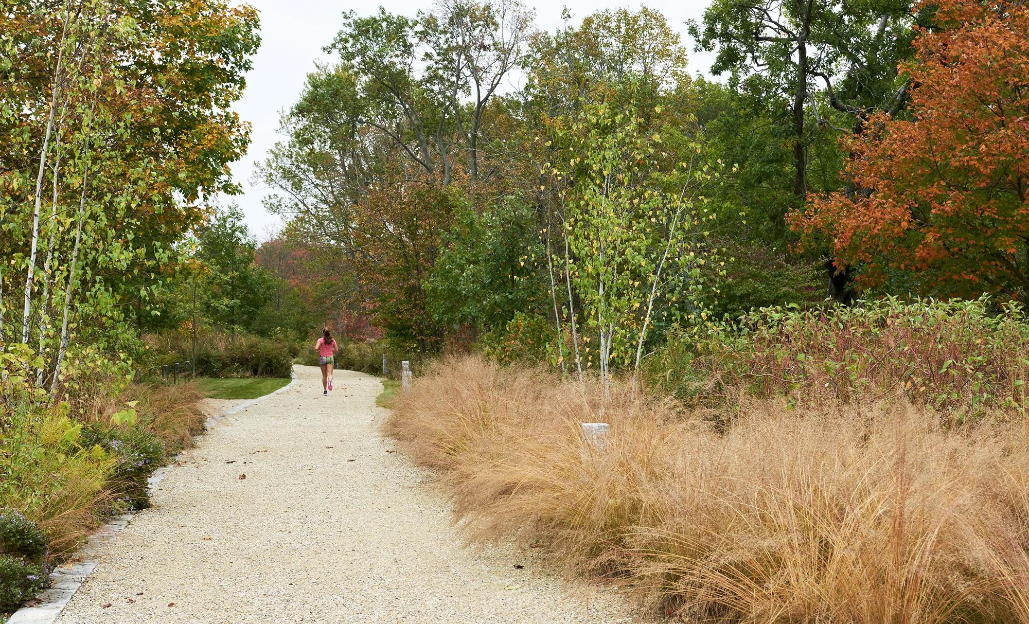 171012_SSA_OCSimmondsPark_2375.jpg