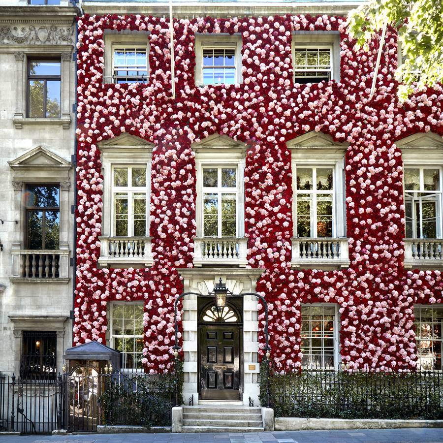  Annabel's in Berkeley Square is sprayed with pink and red hydrangeas. 