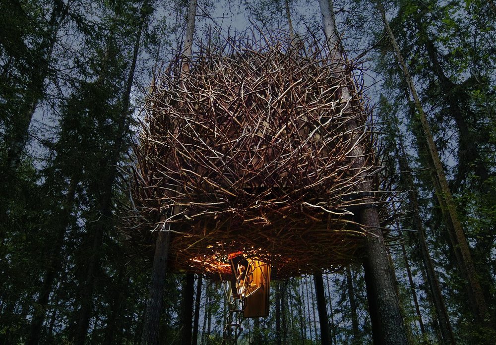 Treehotel-Birds Nest.jpg