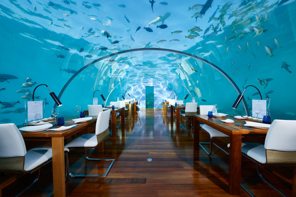 CONRAD MALDIVES RANGALI ISLAND_F_B_Ithaa Undersea Restaurant_Hero_credit Justin Nicholas_hi-res (2).jpg