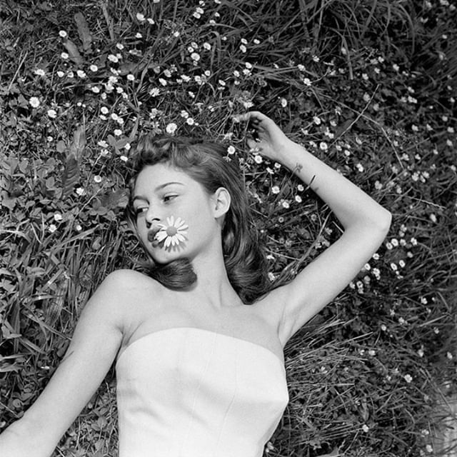 Fresh as a Daisy 🌼| Bridgette Bardot, France 1952, @britishvogue | #KADSpirit ⠀
⠀
-⠀
-⠀
-⠀
-⠀
-⠀
#KADLoves #KADPublicity #KADPR #PR #publicity #losangeles #LA #NYC #boutiquepublicrelations #boutiquepr #fashionpublicist #lifestyle #designer #blogger 