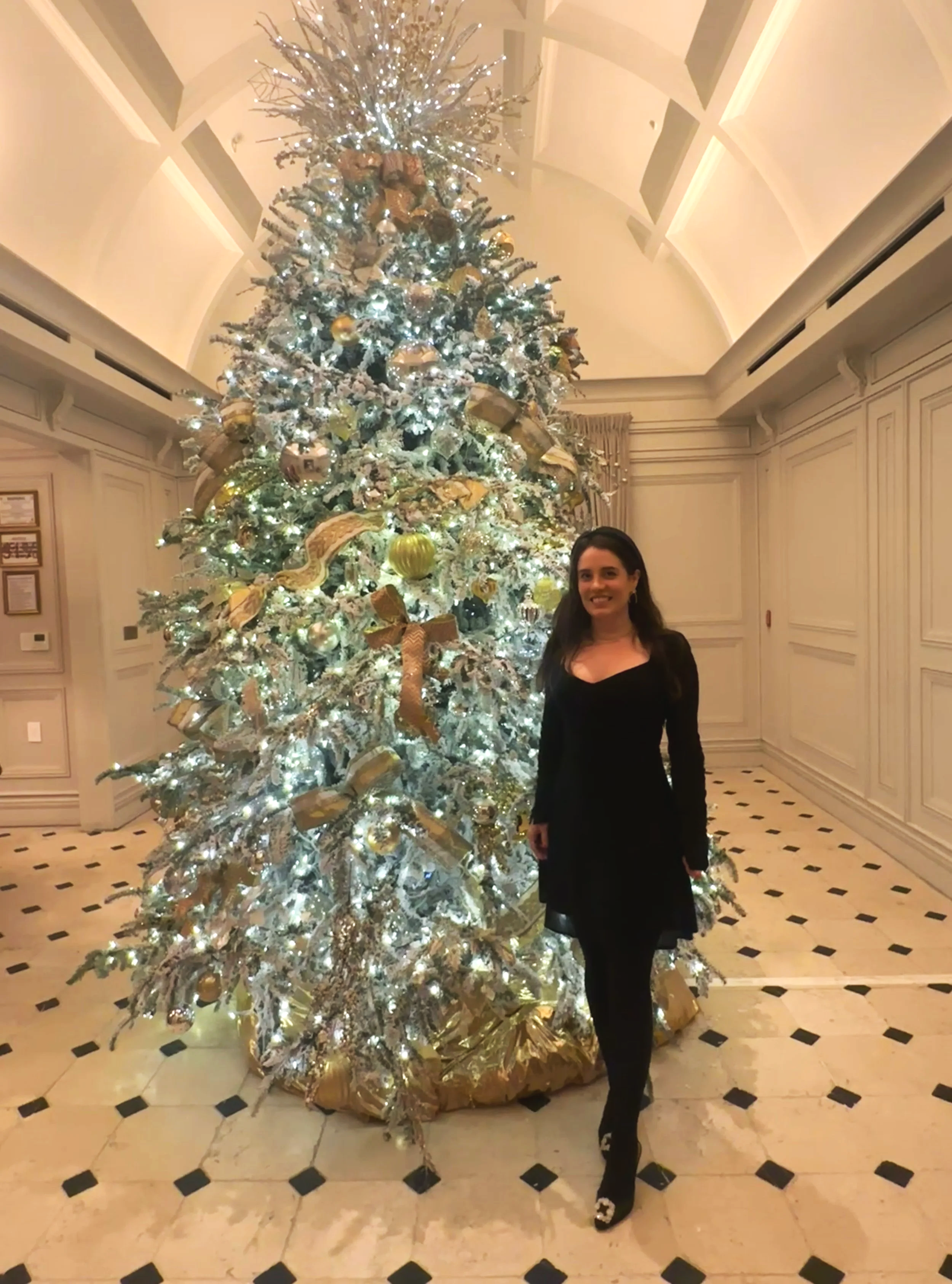 Holiday Tea at Hotel Swexan in Dallas