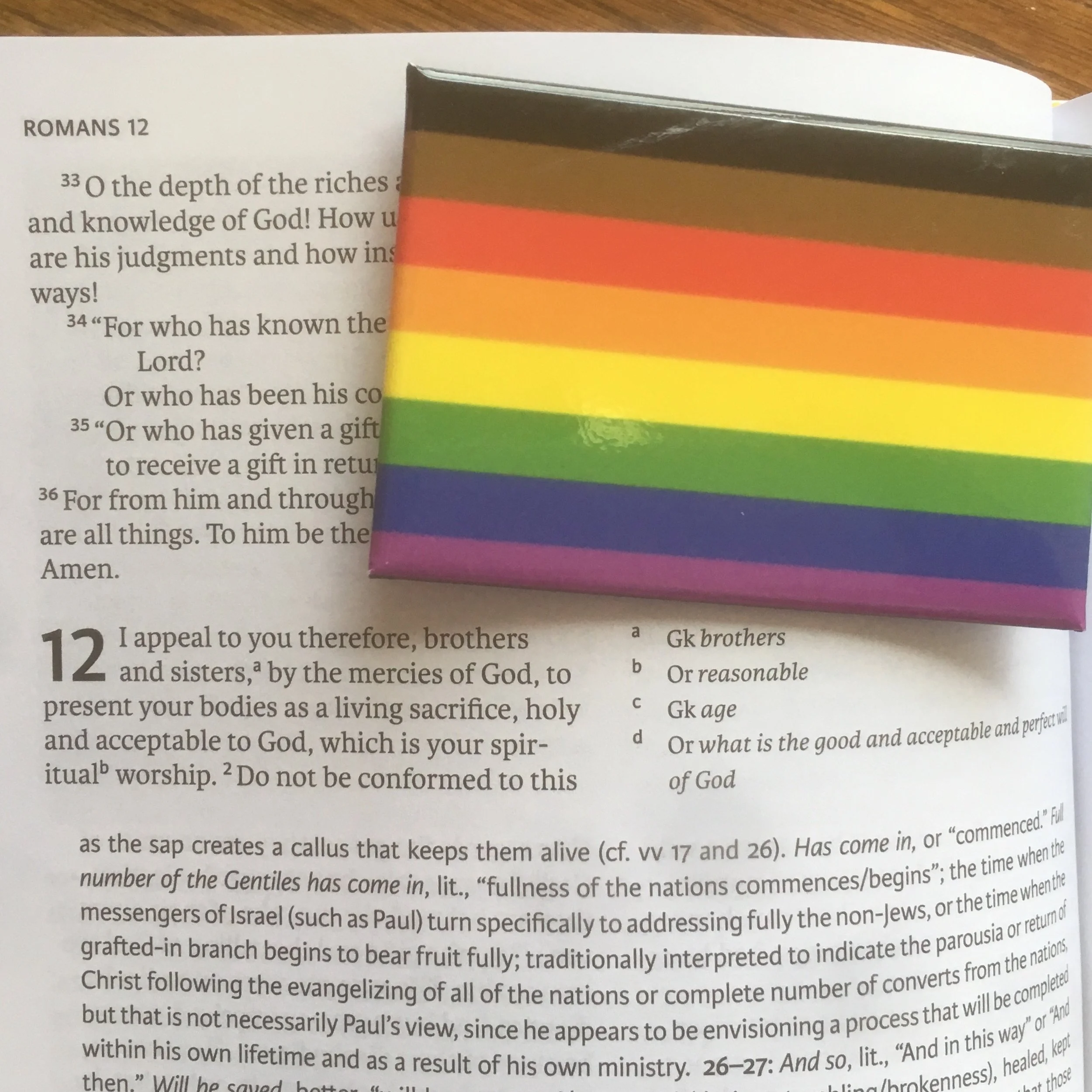 Who Wants to Conform?: On Normativities, Pride Flags, and Romans 12:2