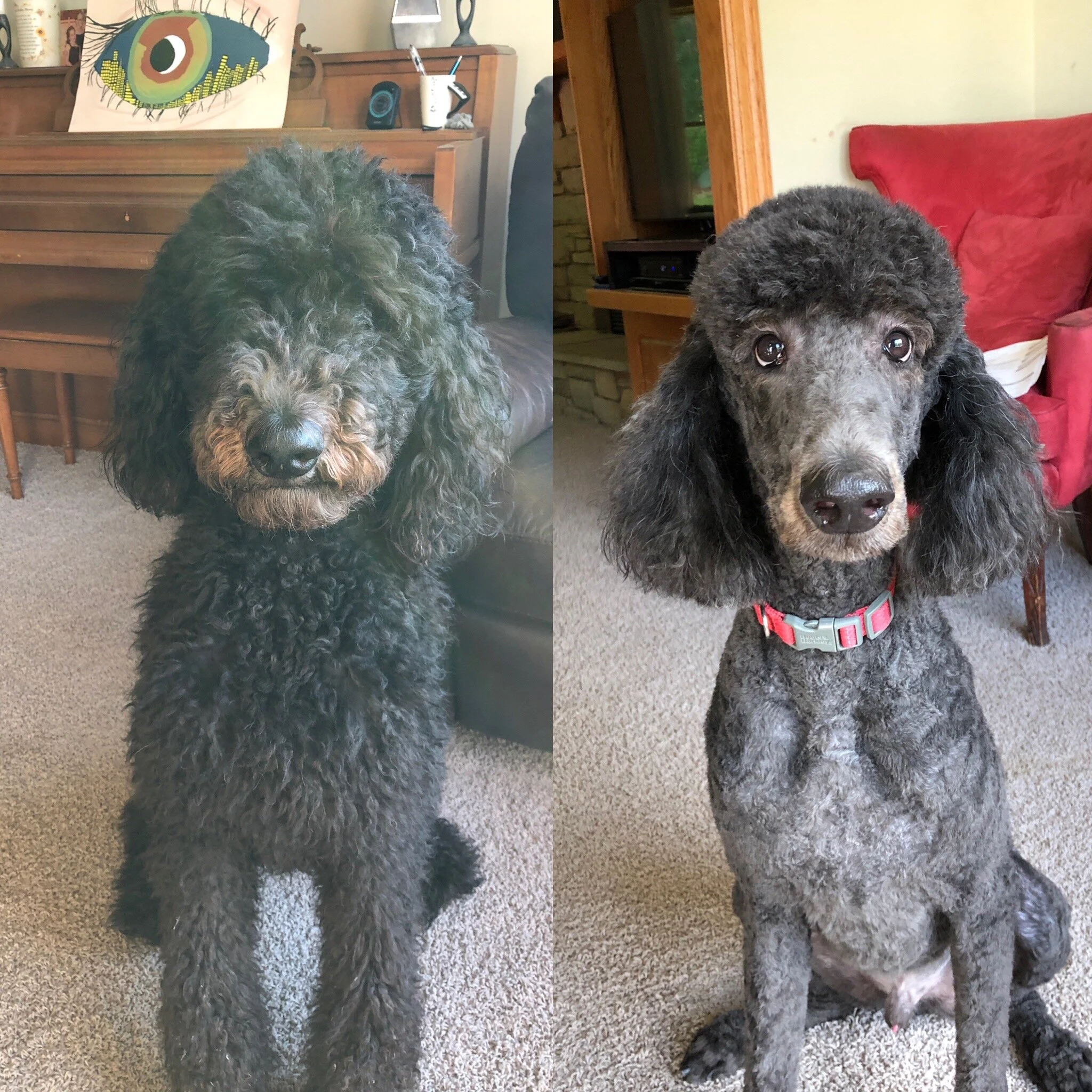 Episode 97 | Of Groundhogs and Seasons