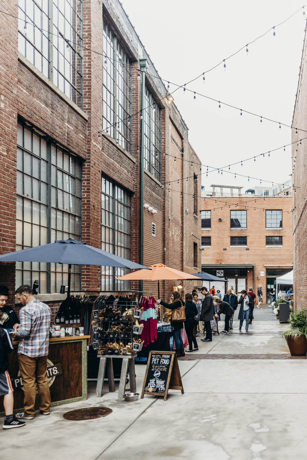 2024 Charlotte Autumn Night Market