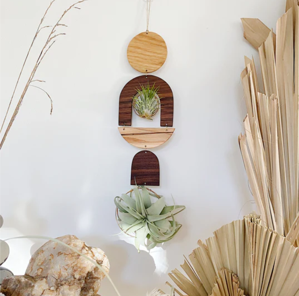 Wooden arched air plant wall decoration