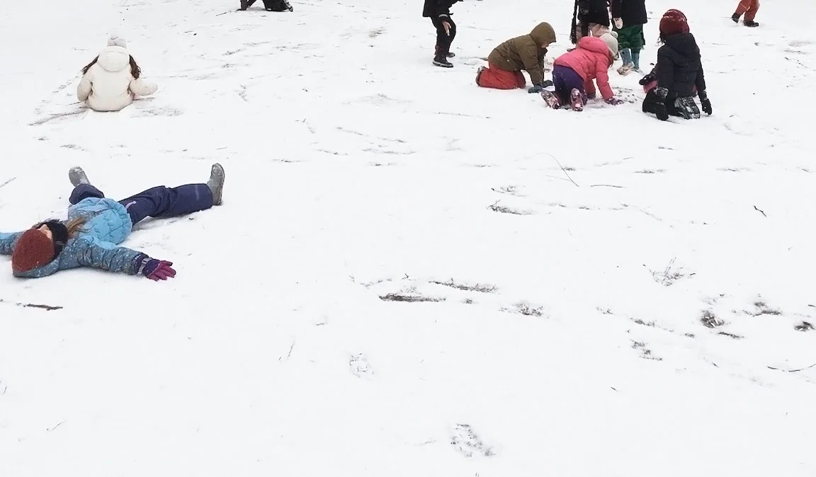snow8.jpg