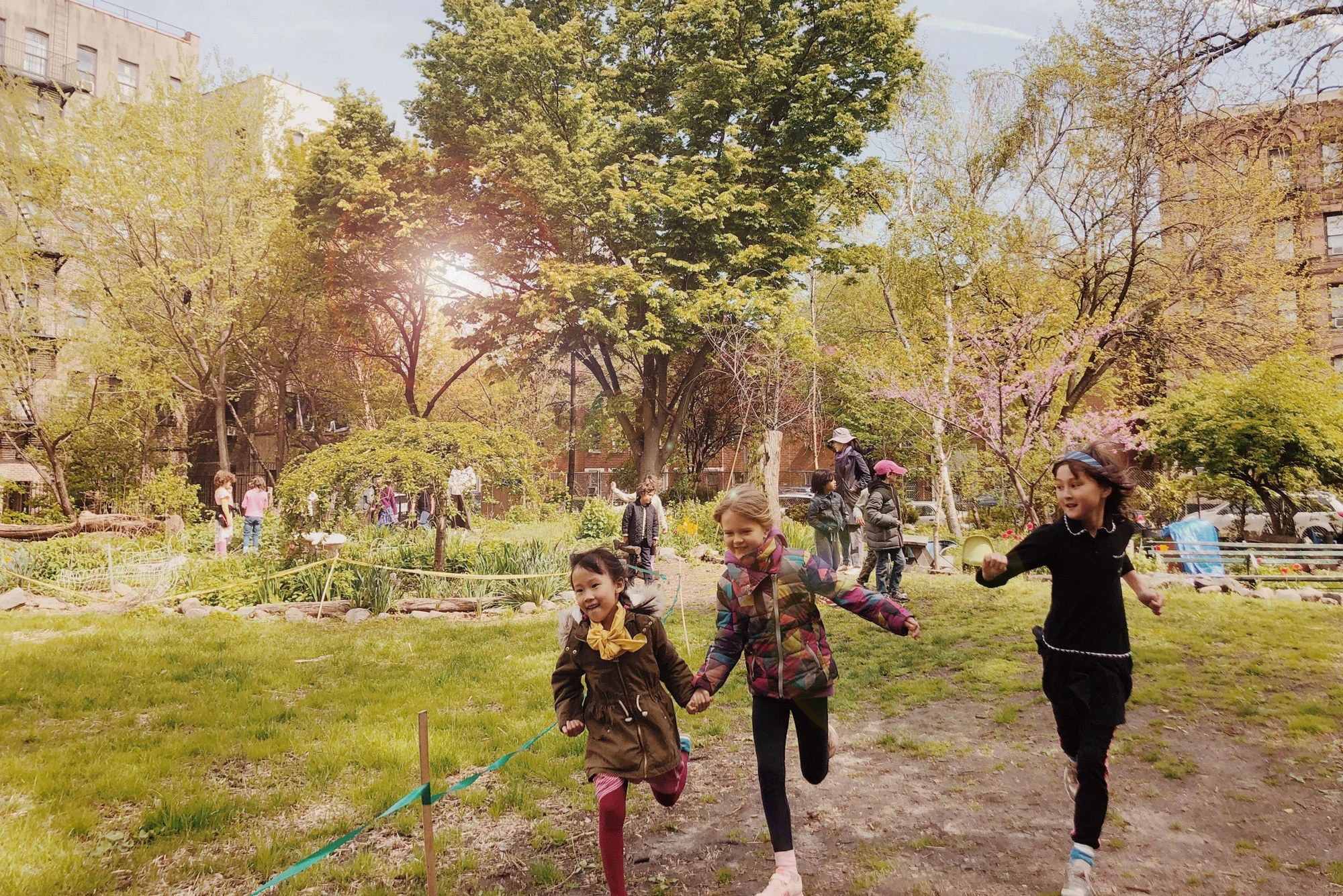 garden.jpg
