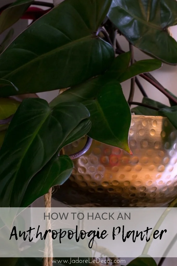 www.JadoreleDecor.com | Follow along as I hack a hanging planter inspired by my favorite store, Anthropologie.
