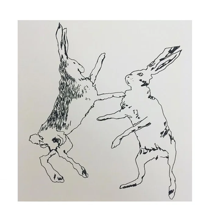 hare.jpg