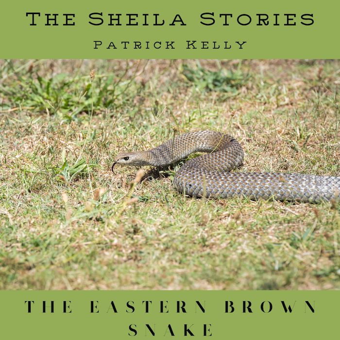 SS EP03 Small The Eastern Brown Snake Cover.png