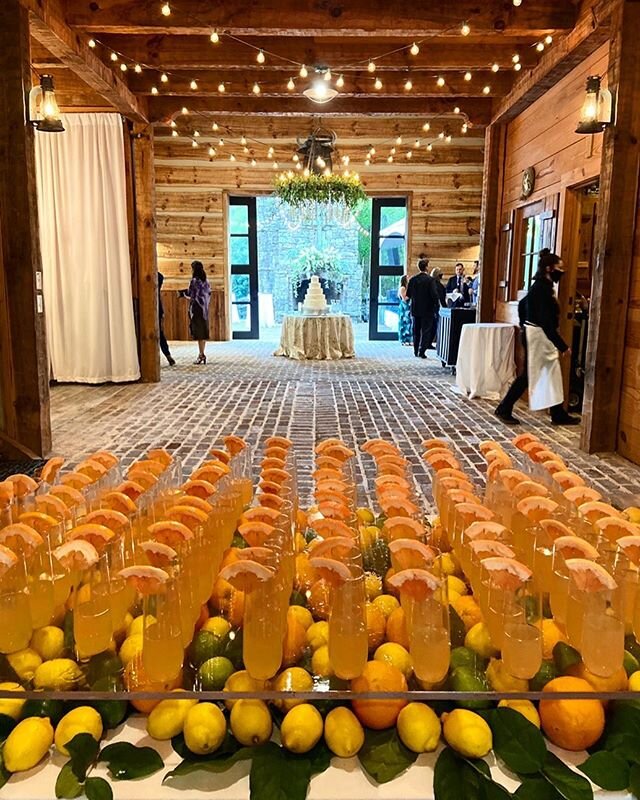 Last nights wedding was absolutely gorgeous! Our citrus table and a Grapefruit French 75 made for the most refreshing entrance! #kathygandcompany #kathygandcompanycatering #alabamaweddings #alabamacatering #alabamaevents #birminghamevents #specialeve