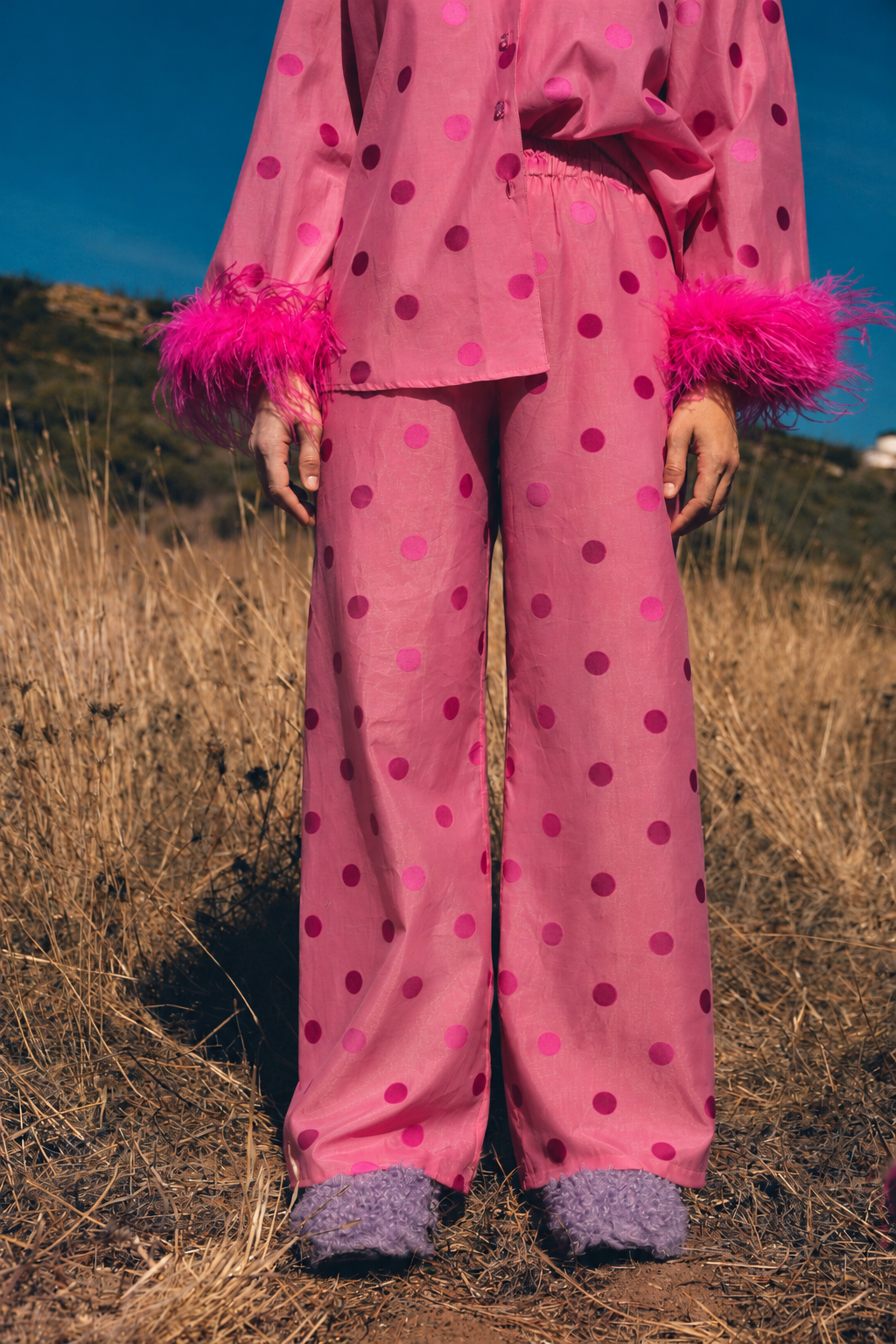 Pink Polka-Dot Field Editorial.png