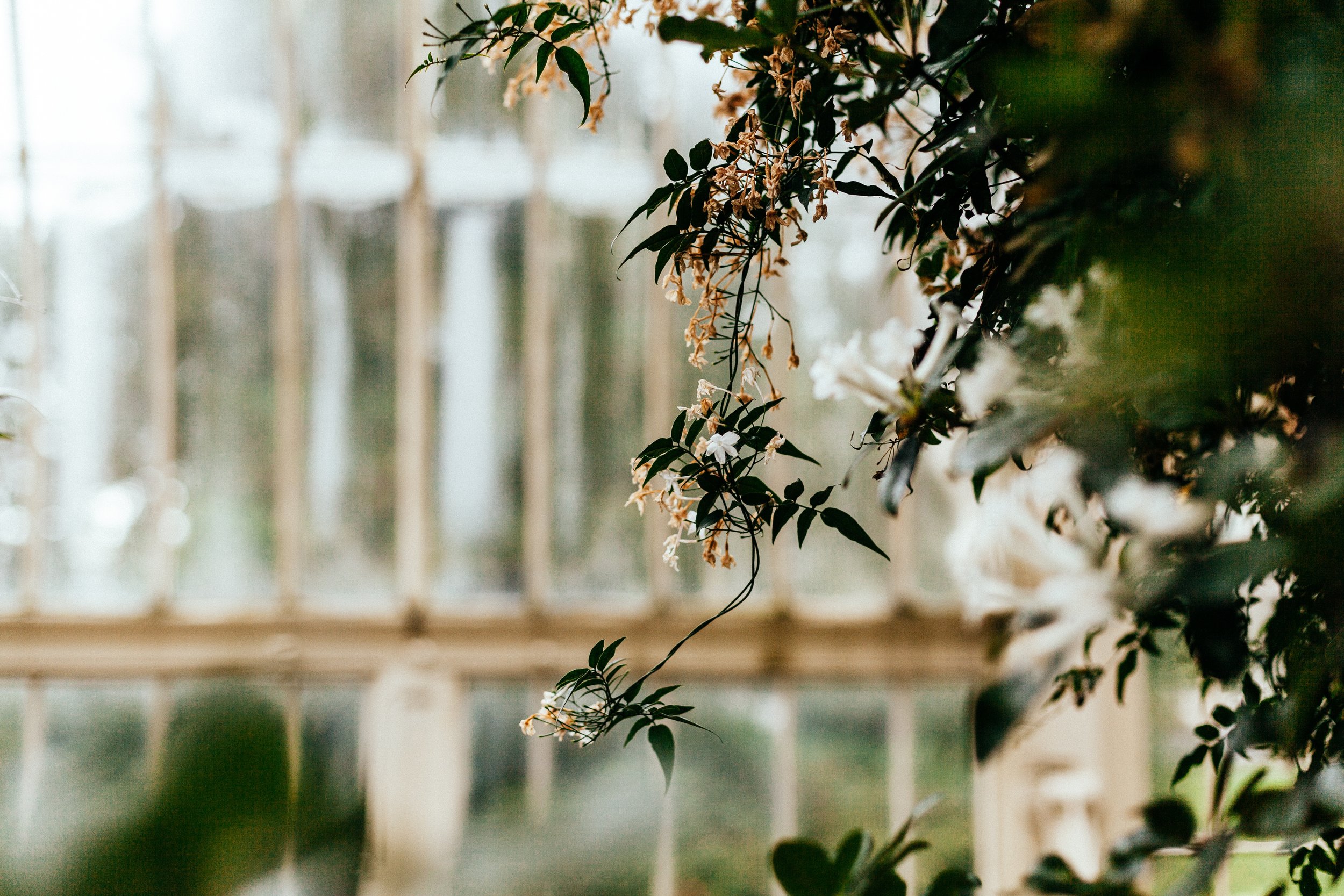 alex-loup-393845-unsplash.jpg