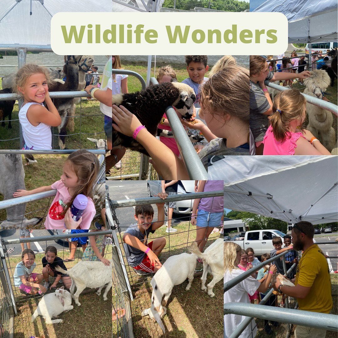 We had a WILD time at our Petting Zoo last week! 🐐 Want to see all of the fun? Swipe ➡️ to check it out!

Want to join us for our final camps of the summer? Sign up TODAY, you don&rsquo;t want to miss our final themes 🙈

#boostgymnastics #boostdanc