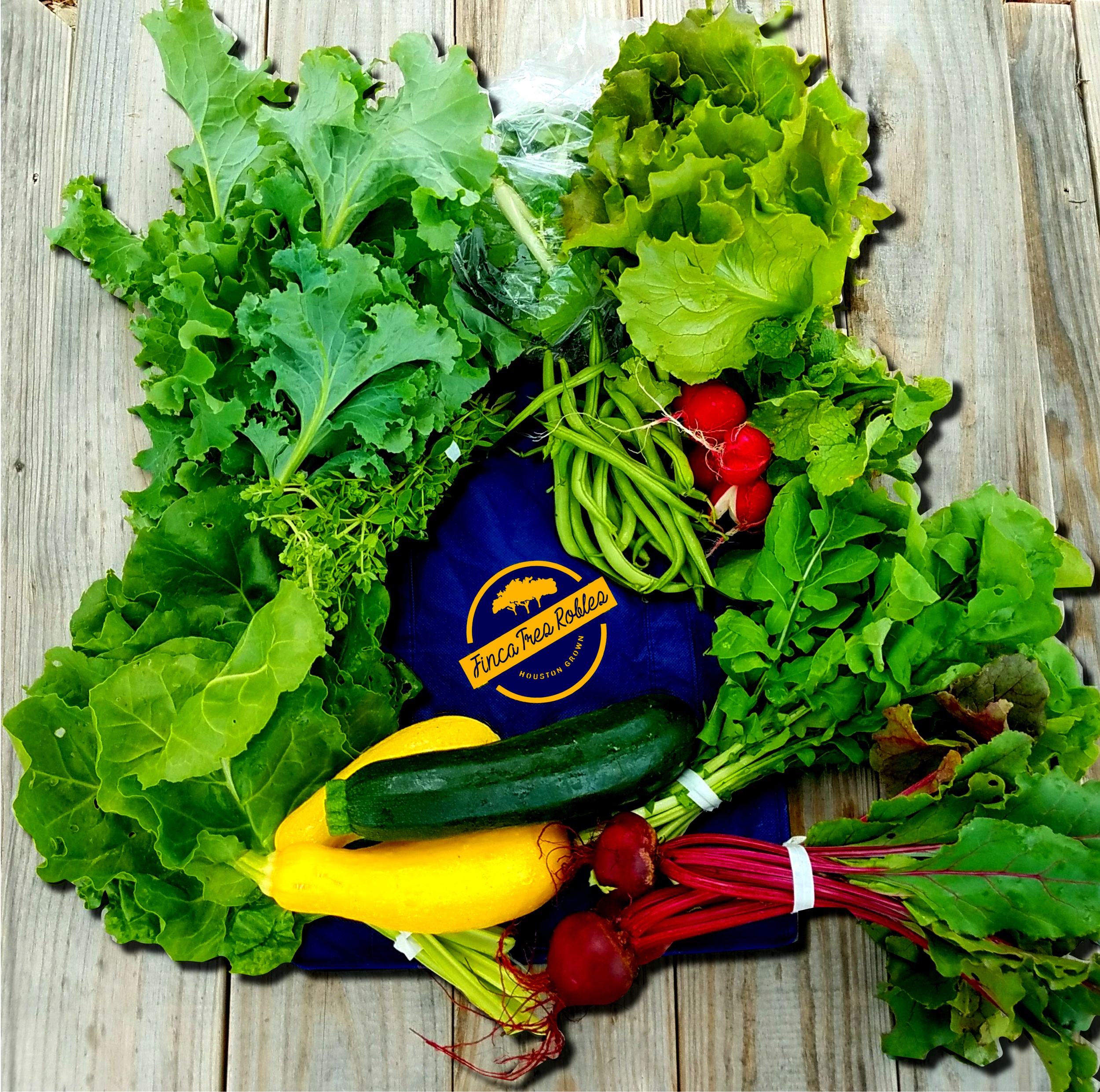 CSA-header2.jpg
