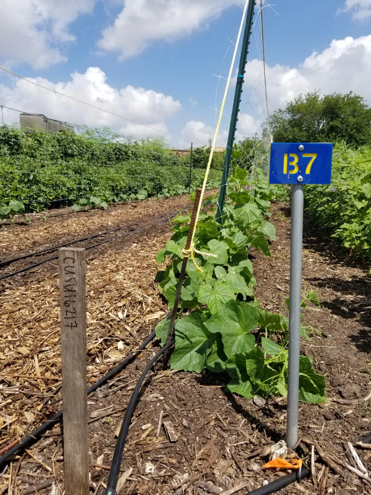 Data-Driven-Farming1.jpg