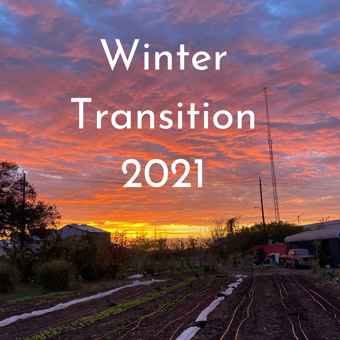 Winter Transition 2021.png