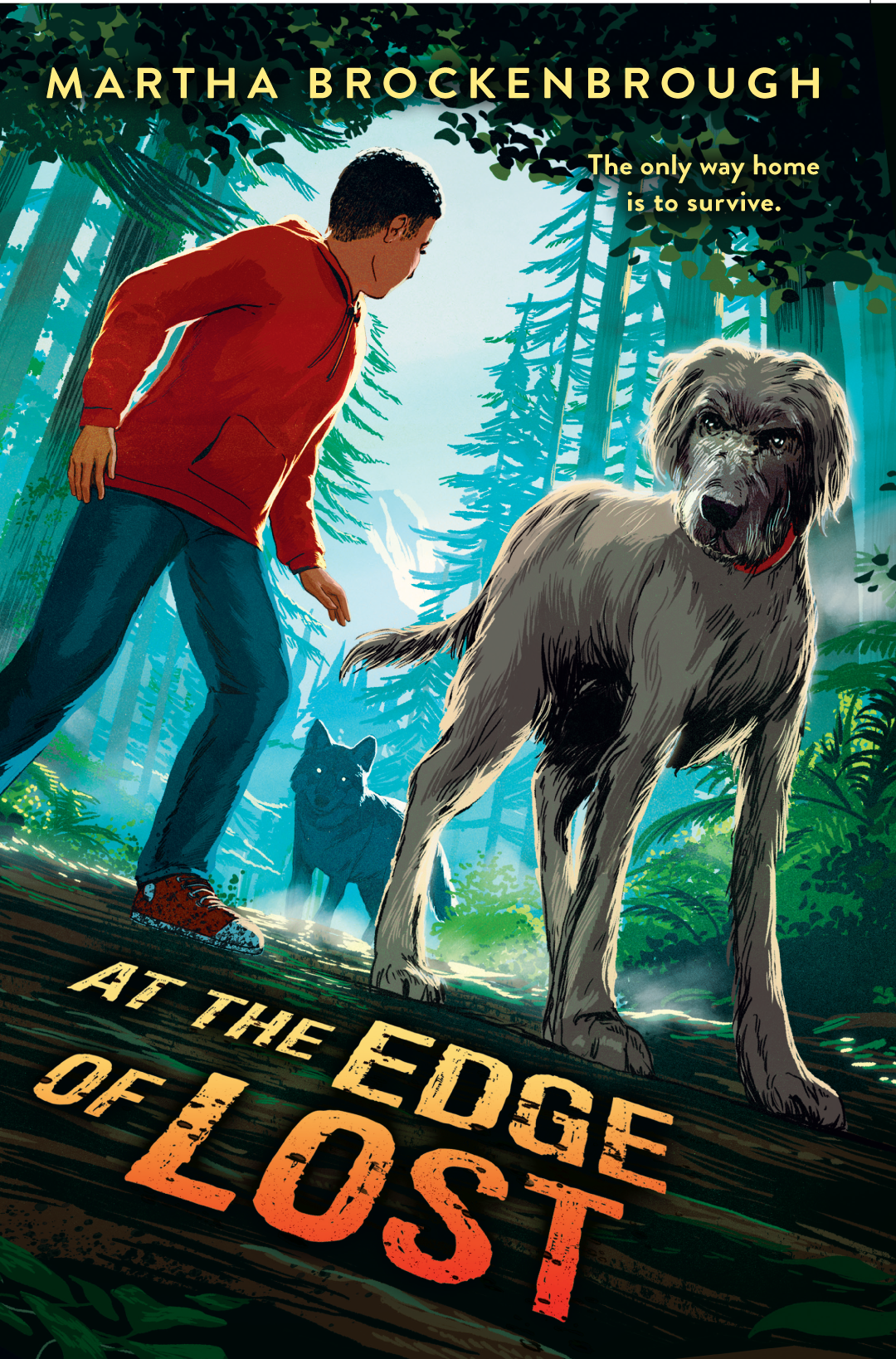 Lions_MarthaB_cover.png