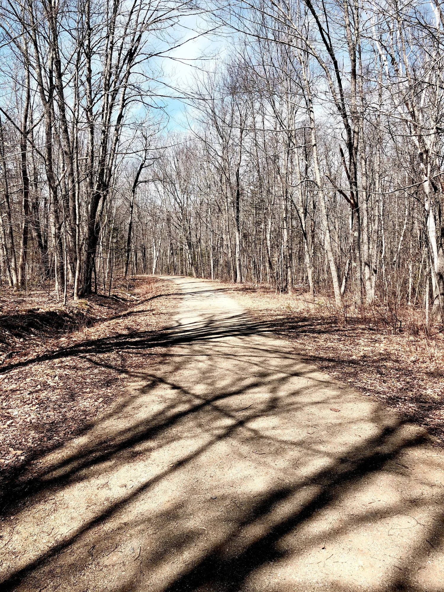 HIKING BALD ROCK TRAIL — OLIVIA JOY ST.CLAIRE