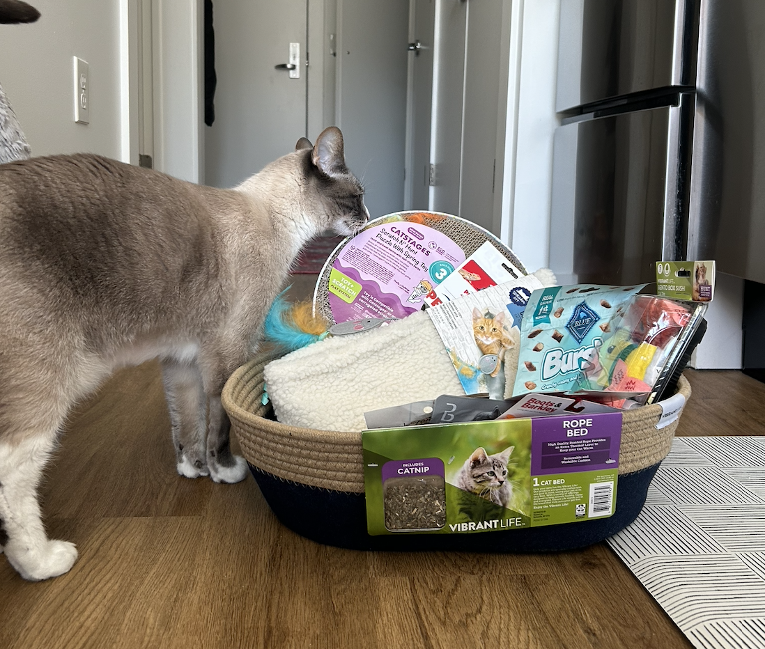 Screenshot 2025-02-26 at 9.22.34 PM.png