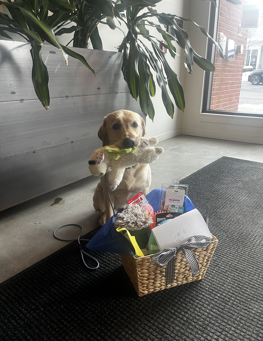 Screenshot 2026-02-24 at 2.27.54 PM.png