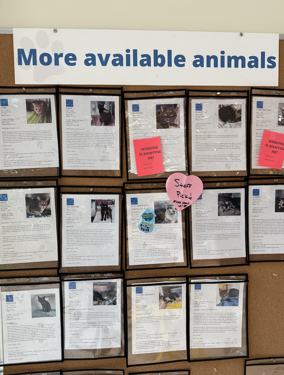 Screenshot 2026-02-24 at 3.10.58 PM.png