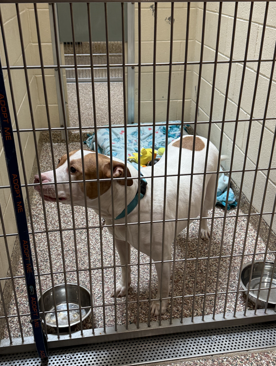 Screenshot 2026-02-24 at 3.12.50 PM.png