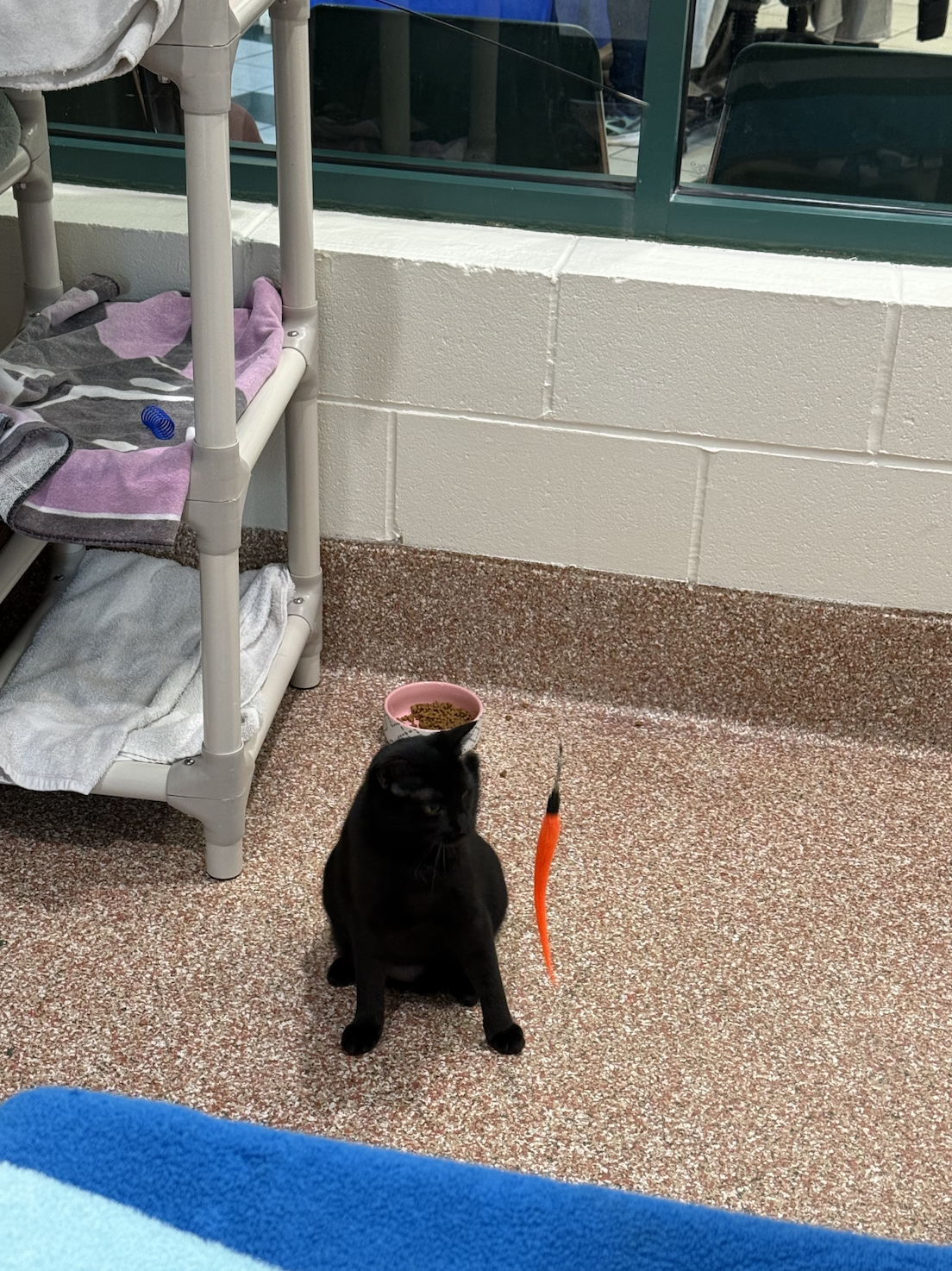 Screenshot 2026-02-24 at 3.12.42 PM.png