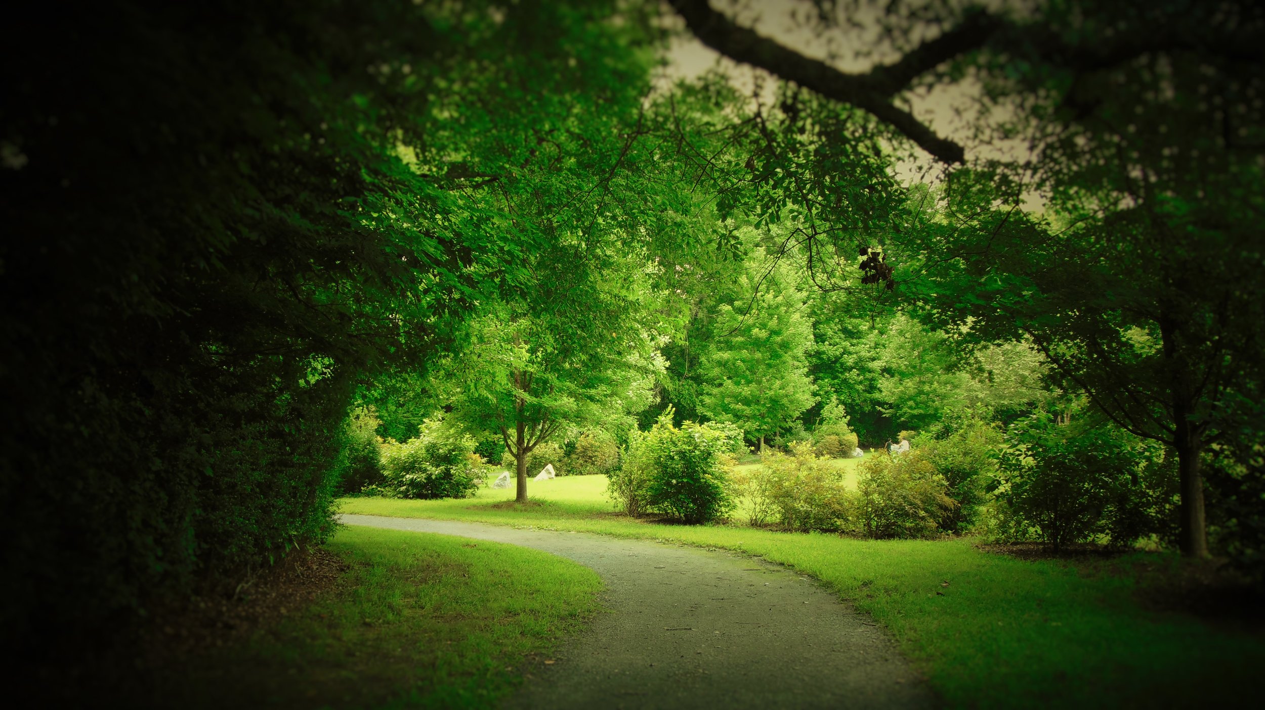DSC00285 (2).JPG