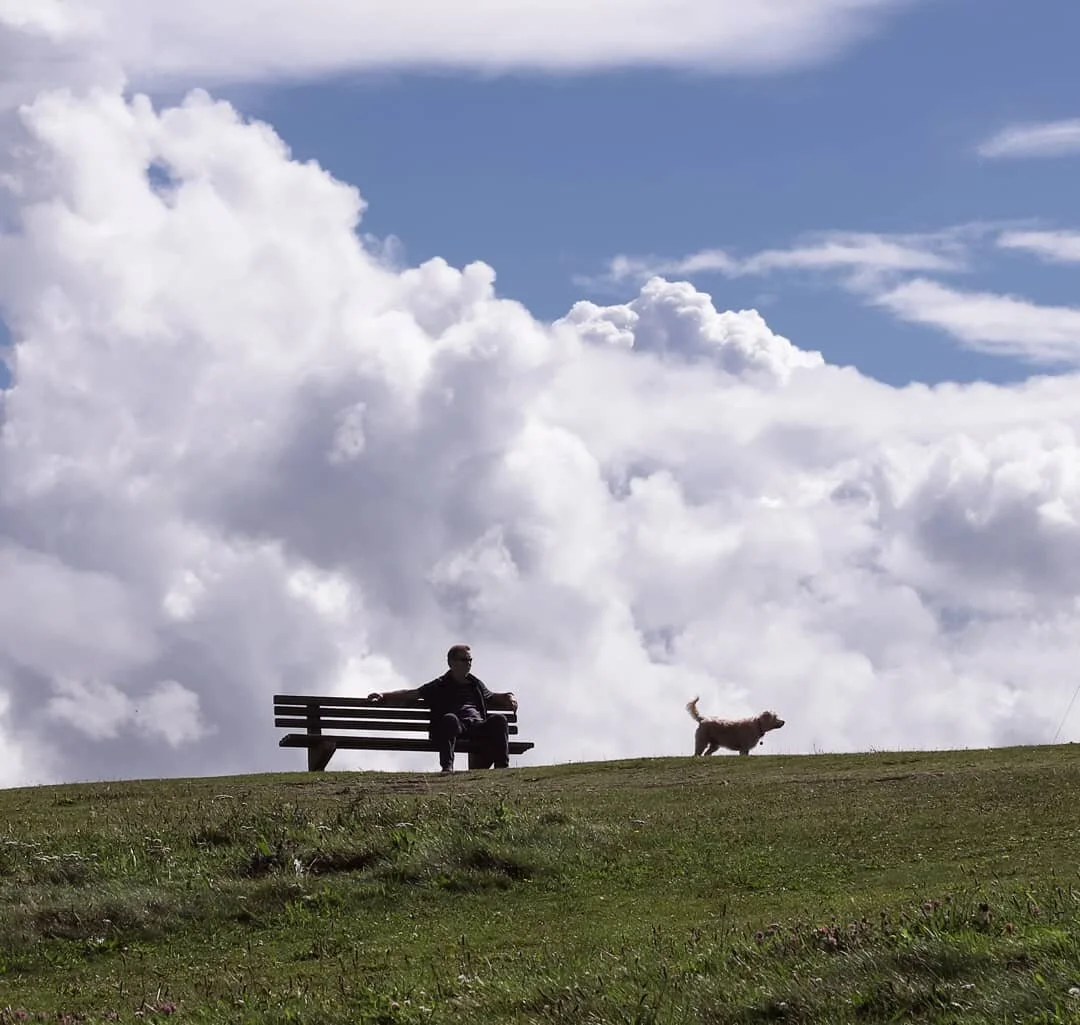Dog days
.
.
.
#catchingstories
#streetphotography #streetcandid_worldwide #streetphotographer #everybodystreet #capturestreets #storyofthestreet #photoobserve #streetphotographyCommunity #aspfeatures #ourstreets #lensculture #peoplephotography #spi_