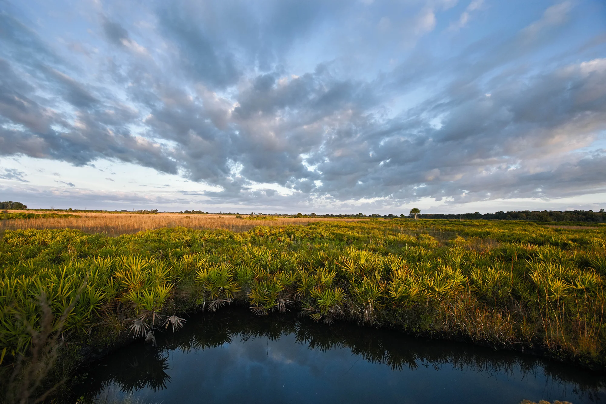 Adams Ranch, Photo by Randy Batista