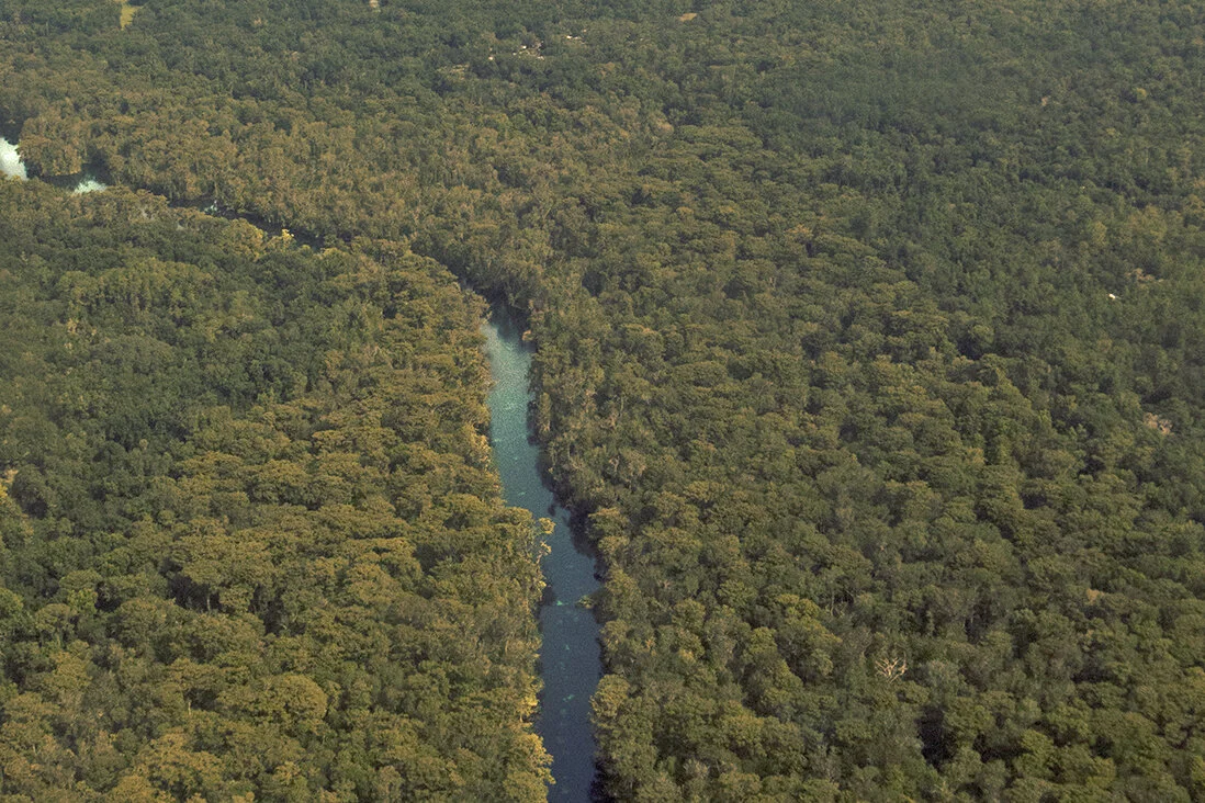 View of the Silver River from above.