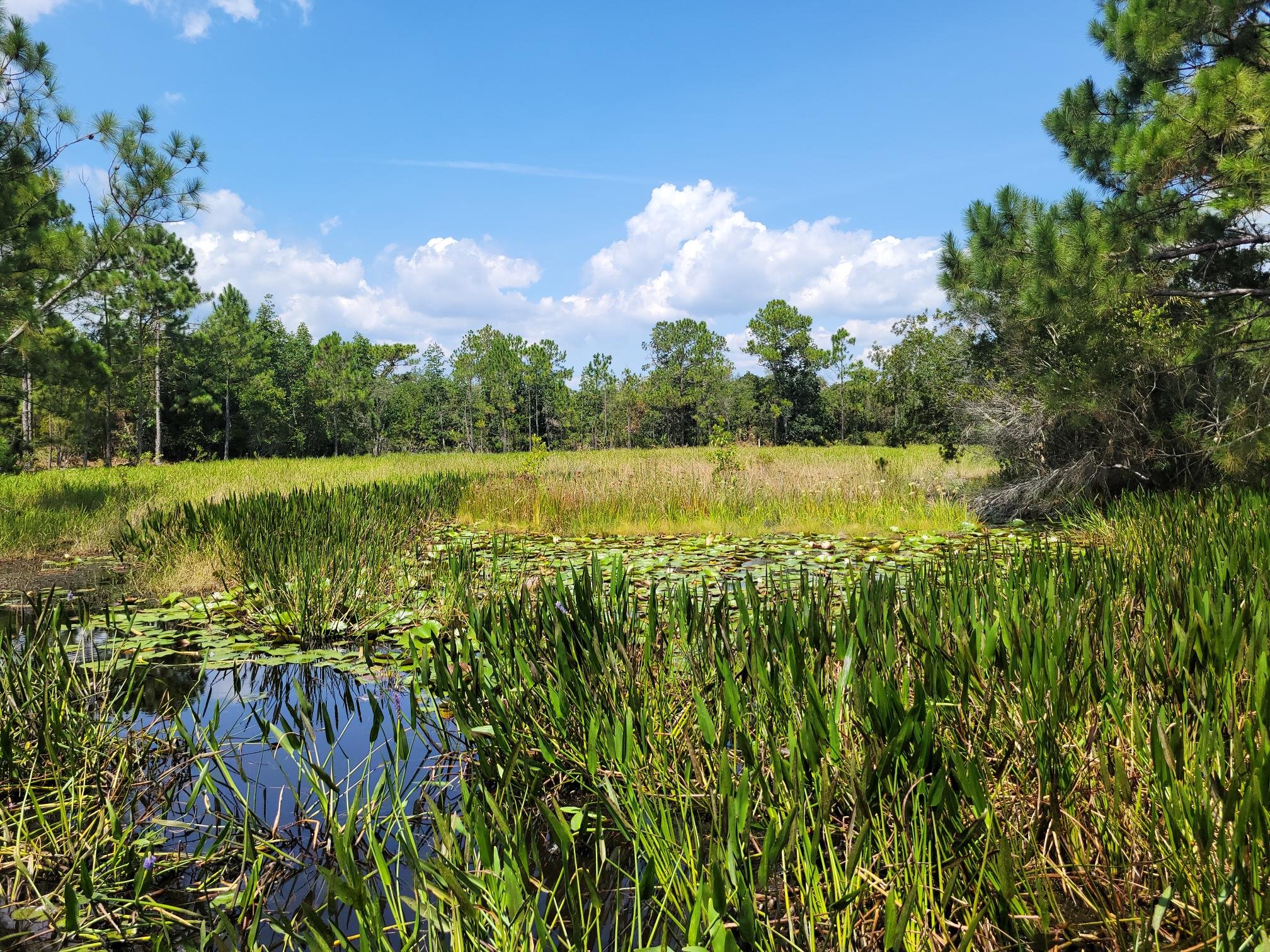 Saving Wildlife and Wild Places 