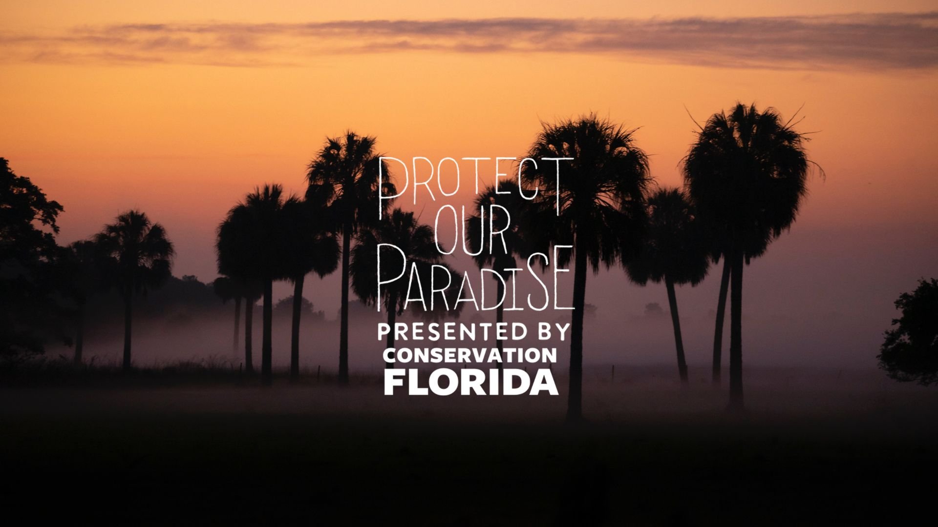 Protect Our Paradise docuseries premiering in July — Conservation Florida