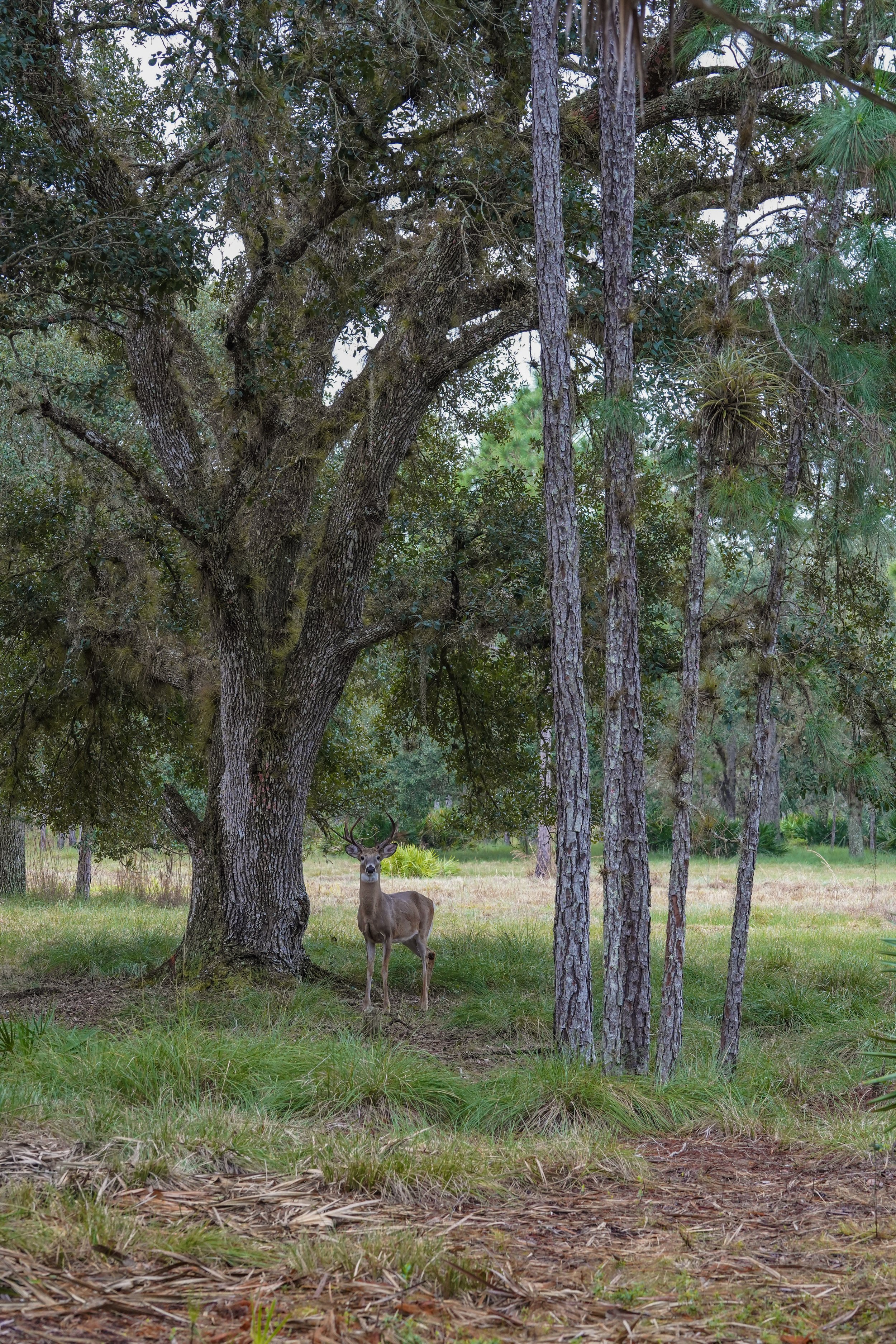 Lightsey Ranch_gabtejeda_21.jpg