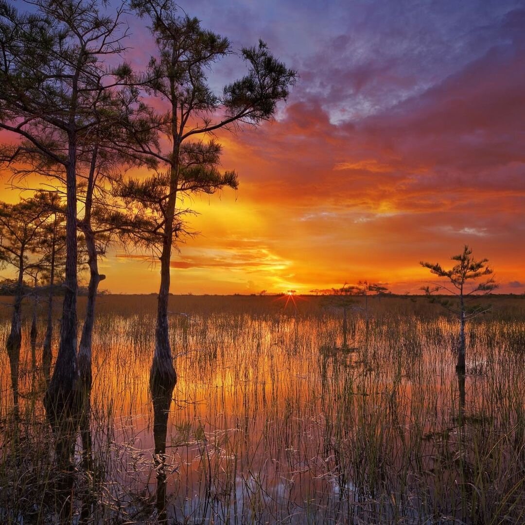 Saturday spent in the Everglades? Yes, please.

Sunrise ⏰: 7:15 AM
Sunset ⏰: 7:38 PM

That's 12 hours &amp; 23 minutes of daylight to explore 🗺️

📸: @paulmarcellini