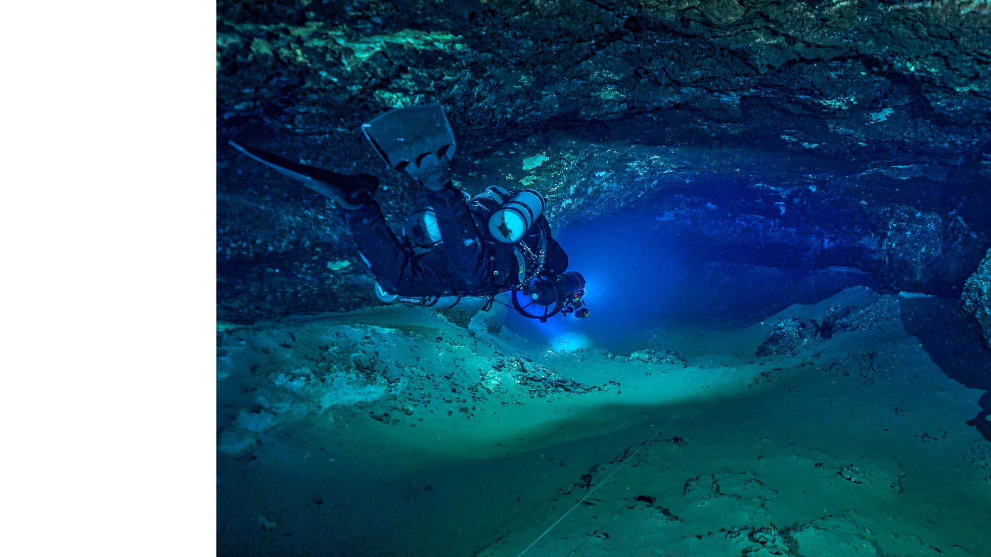 chips hole dive.png