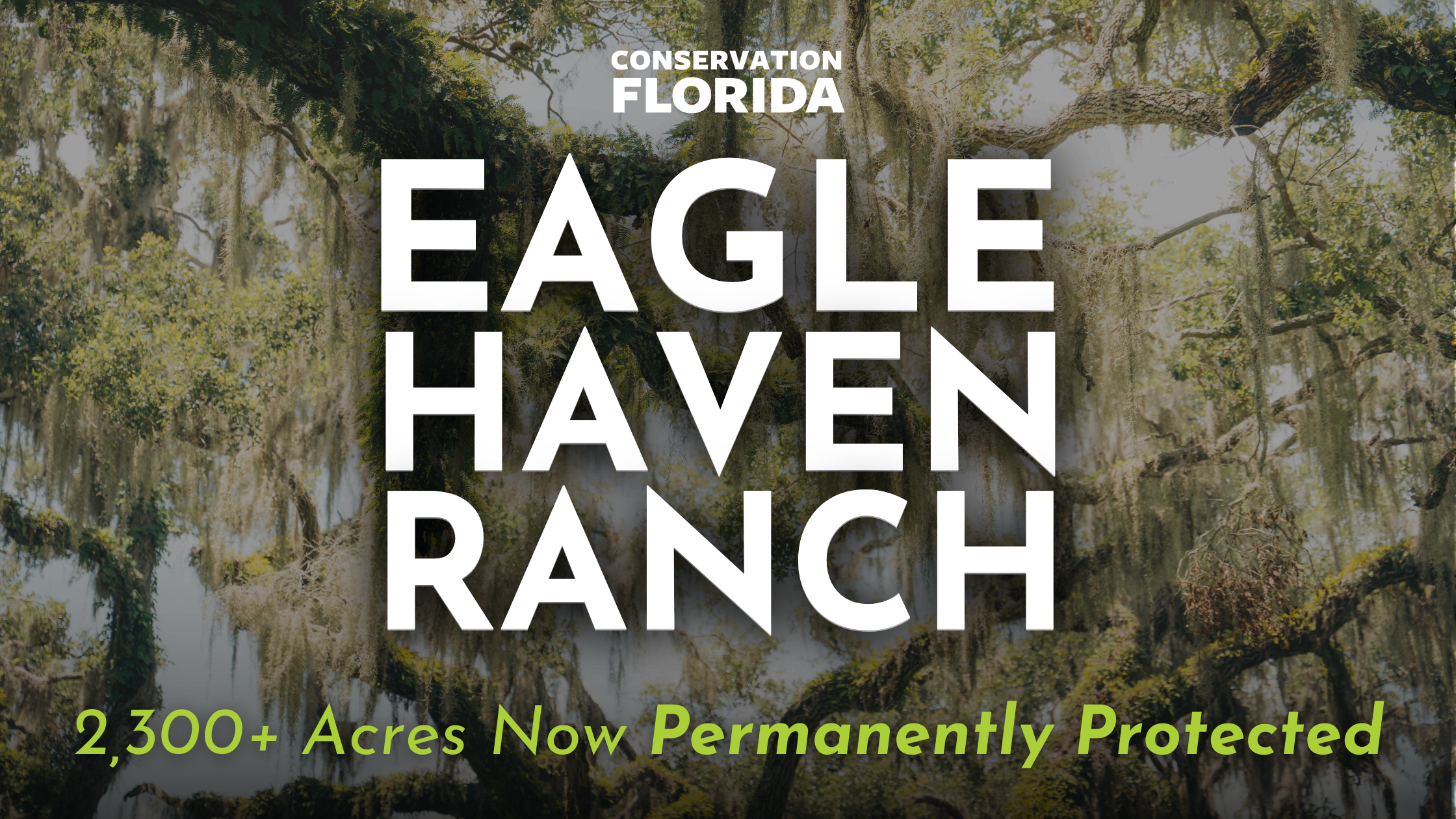 Conservation Florida Permanently Protects 2,317 Acres at Eagle Haven Ranch