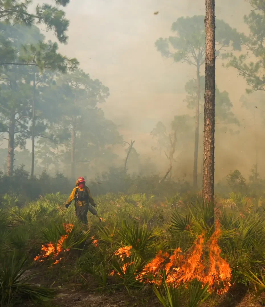 Archbold's Lake Wales Ridge Fire Fest